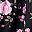 Black Pink Floral