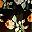 Black Floral