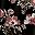Black Pink Floral