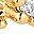 Pisces Gold