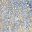 Blue Beige