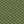 Beige Khaki Olive