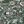 Dark Green Multi