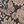 Mushroom Embossed