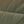 Blackolivegreen