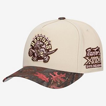 Unisex Mitchell & Ness Cream Toronto Raptors Fall Pink Pro Snapback Hat