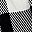 Black White