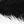 Black White