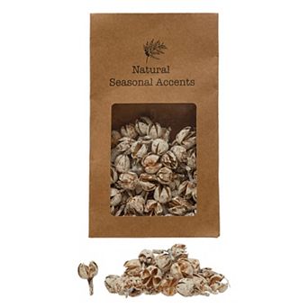 Storied Home Natural Seasonal Accents 4-oz. Dried Pods Table Decor
