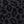 Black Leopard