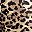 Leopard Print Is Not