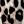 Black Leopard Print