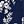Navy Floral