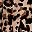 Leopard Print