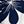 Navy White