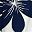 Navy White