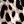 Black Leopard