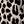 Leopard Print