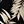 Black Beige