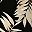 Black Beige