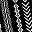 Black Vertical Stripes