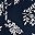 Blue Floral