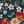 Loral Print