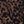 Leopard Brown