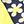 Yellow Navy Daisy