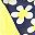 Yellow Navy Daisy