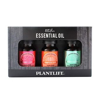 Essential Oil 3 Pack - Holiday Blends