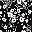Floral Black