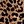 Leopard Brown