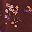 Burgundy Ditsy