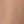 Light Apricot