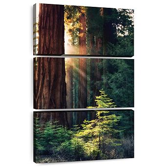 Yosemite National Park Trees 3 pc Set Wall Art