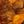 Orange Brown