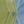 Green Blue