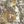 Camobrown