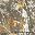 Camobrown