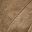Light French Beige