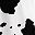 Black White