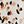 Beige Dots