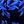 Black Blue