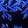 Black Blue