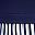 Navy White