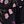 Black Purple