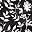 Black Flower