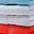 Watermelon Red White