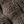 Dark Taupe